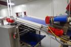 2008 Rademaker Sheeting Line 1000mm Wide